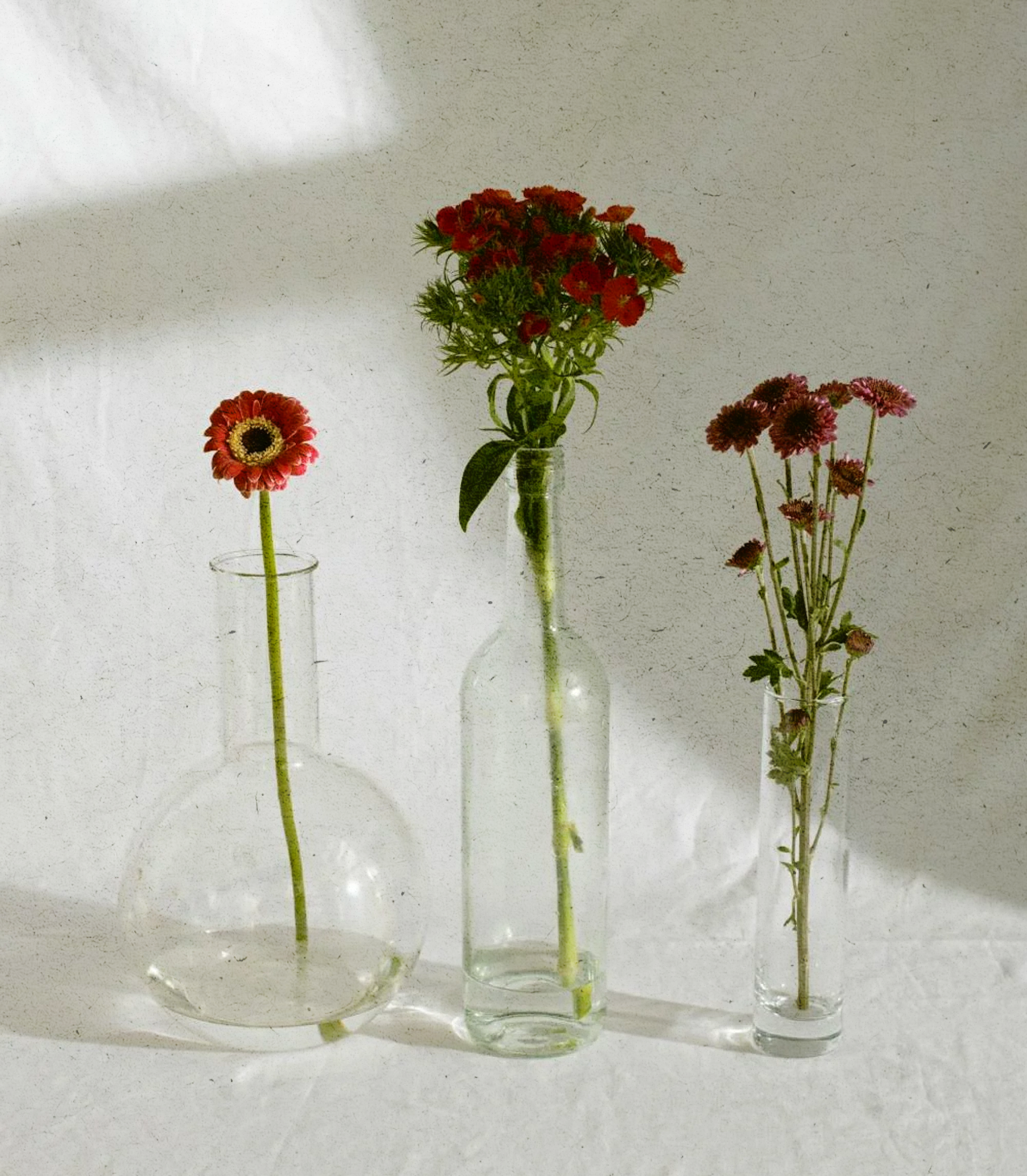 Odos priežiūros filosofija